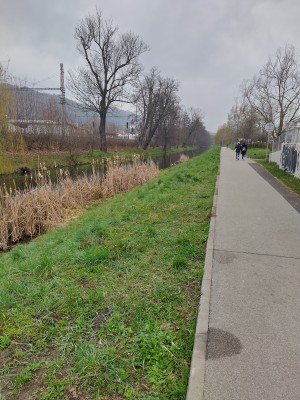 Koše na psí exkrementy